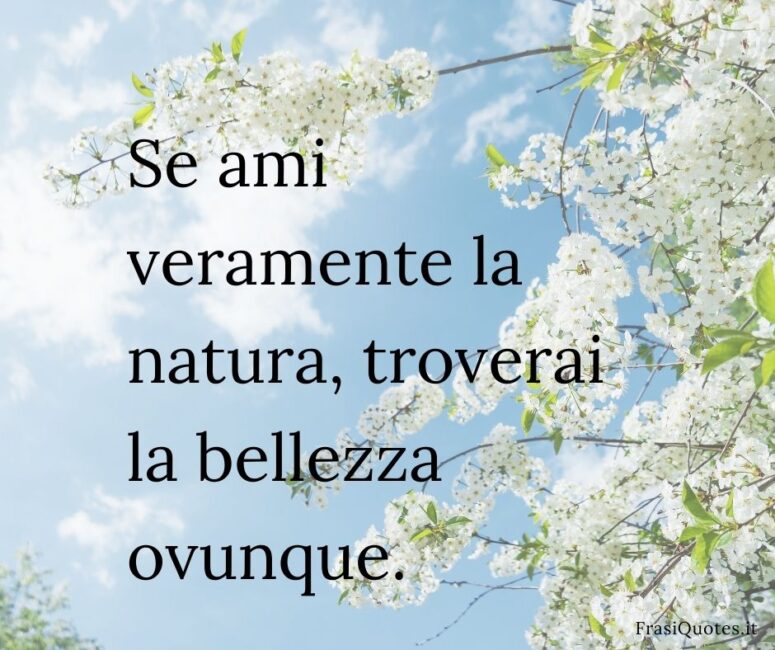 Frasi belle corte sulla natura Frasi sulla bellezza